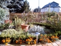 Oktober 2007 - der neue Zaun ist fertig